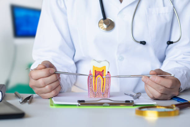 Best Broken or Chipped Tooth Repair in Reading, OH